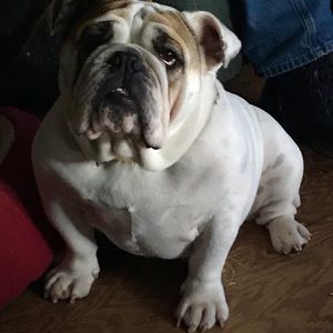 Meet your Posher, Phyllis